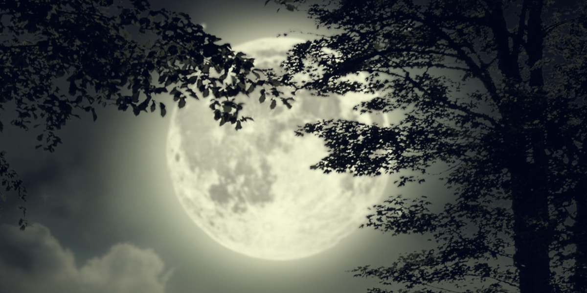What Is A Black Moon? Next Dates & Spiritual Meanings moon behind black trees and clouds