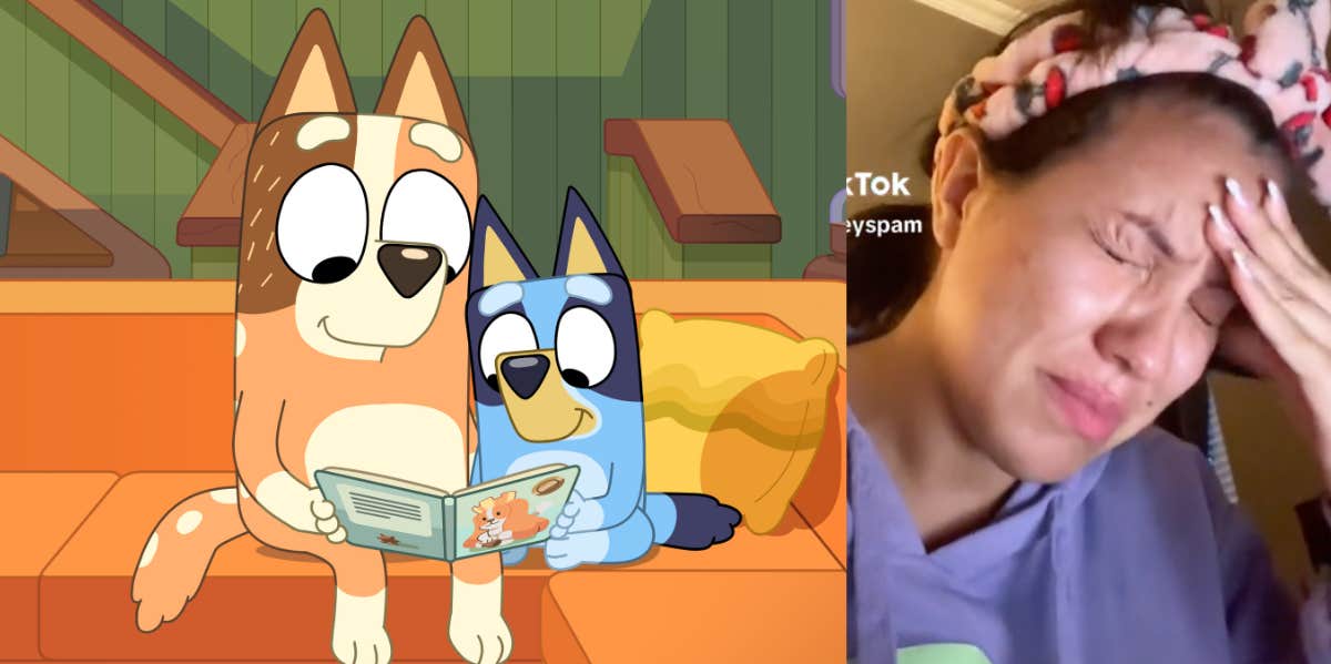 Bluey's mom, Chilli, fan theory