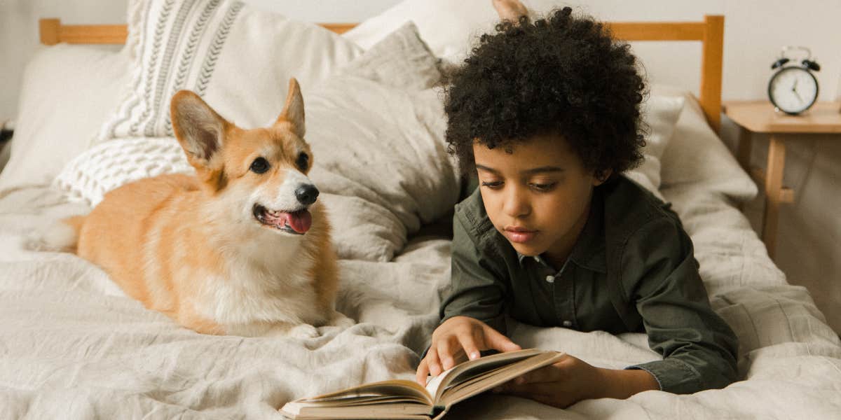 Ex-Husband Calls Police After Mom Leaves Their 9-Year-Old Home Alone While She's At The Gym Boy reading a book on a bed with a dog