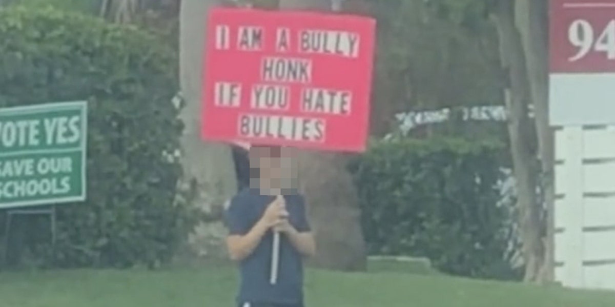 ‘Honk If You Hate Bullies’ Sign 