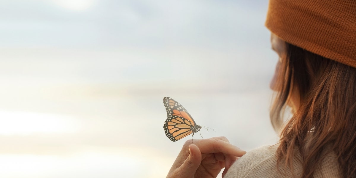 Butterfly Symbolism & Spiritual Meanings Of Seeing Butterflies | YourTango