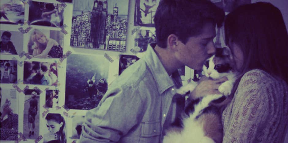 couple kissing cat couple kissing cat