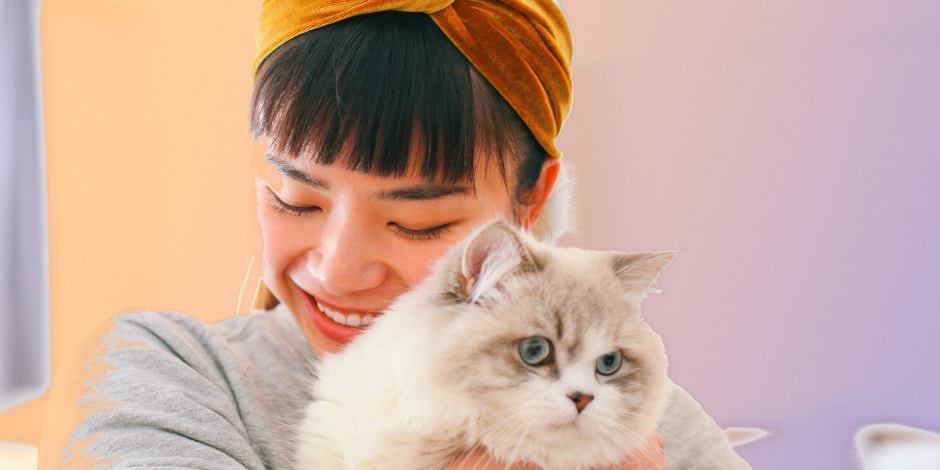 gifts for cat lovers