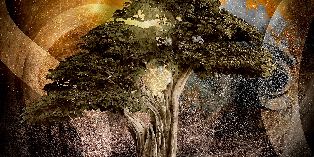 cosmic tree