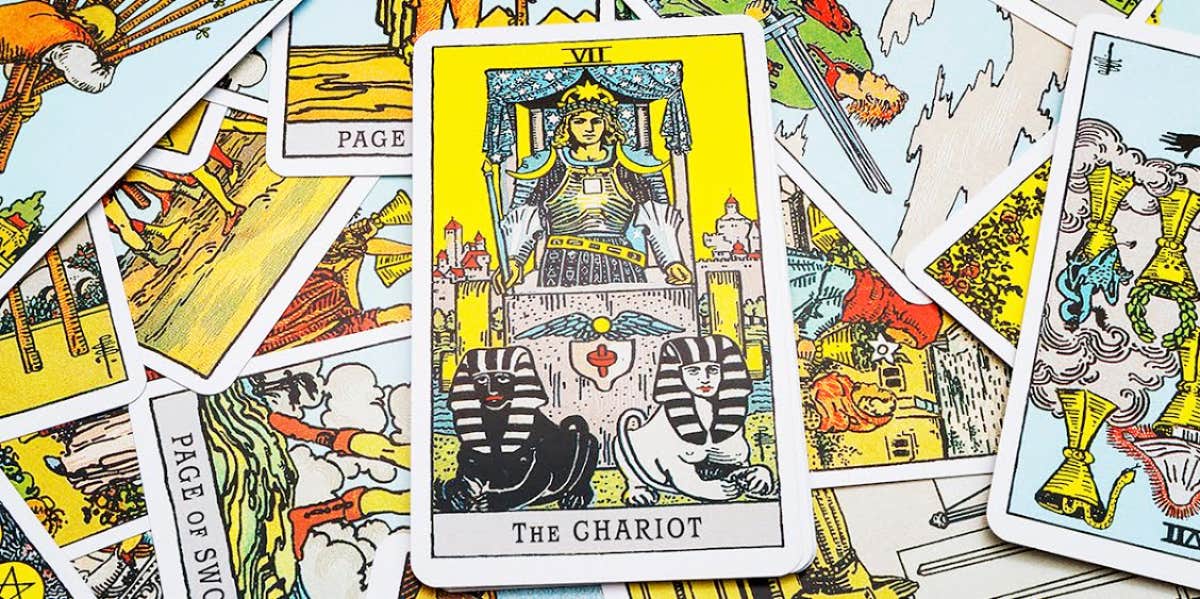 chariot tarot card