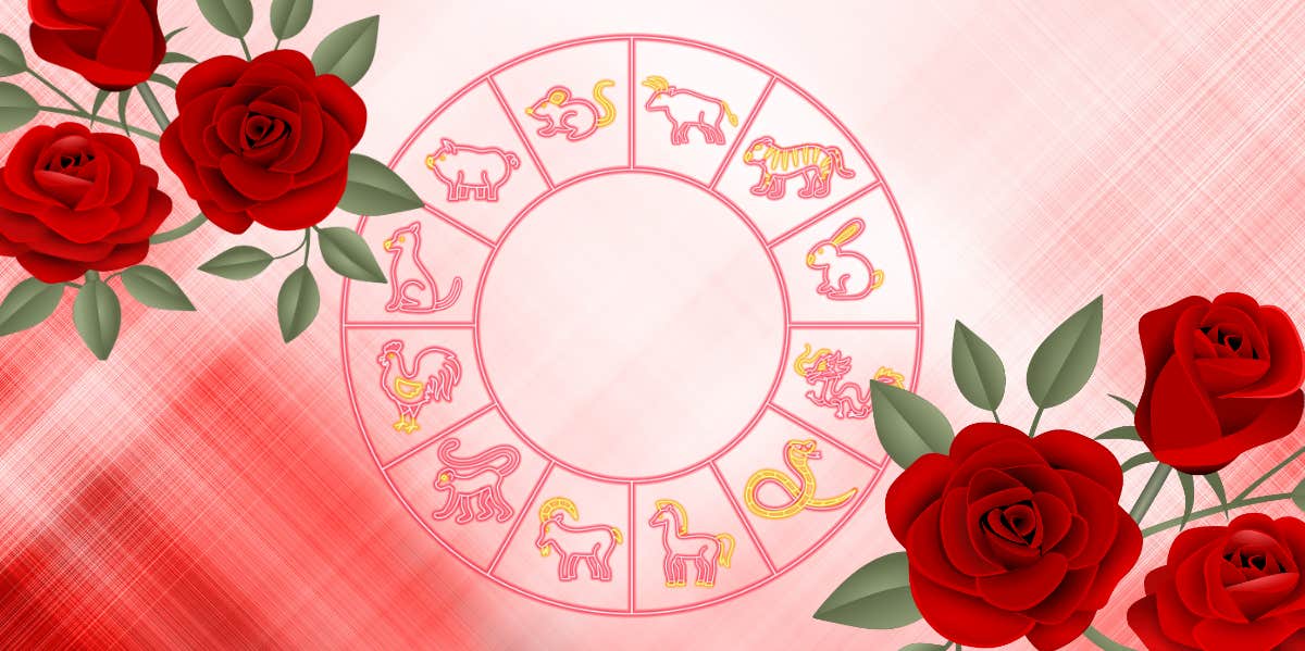 chinese zodiac signs' weekly horoscope