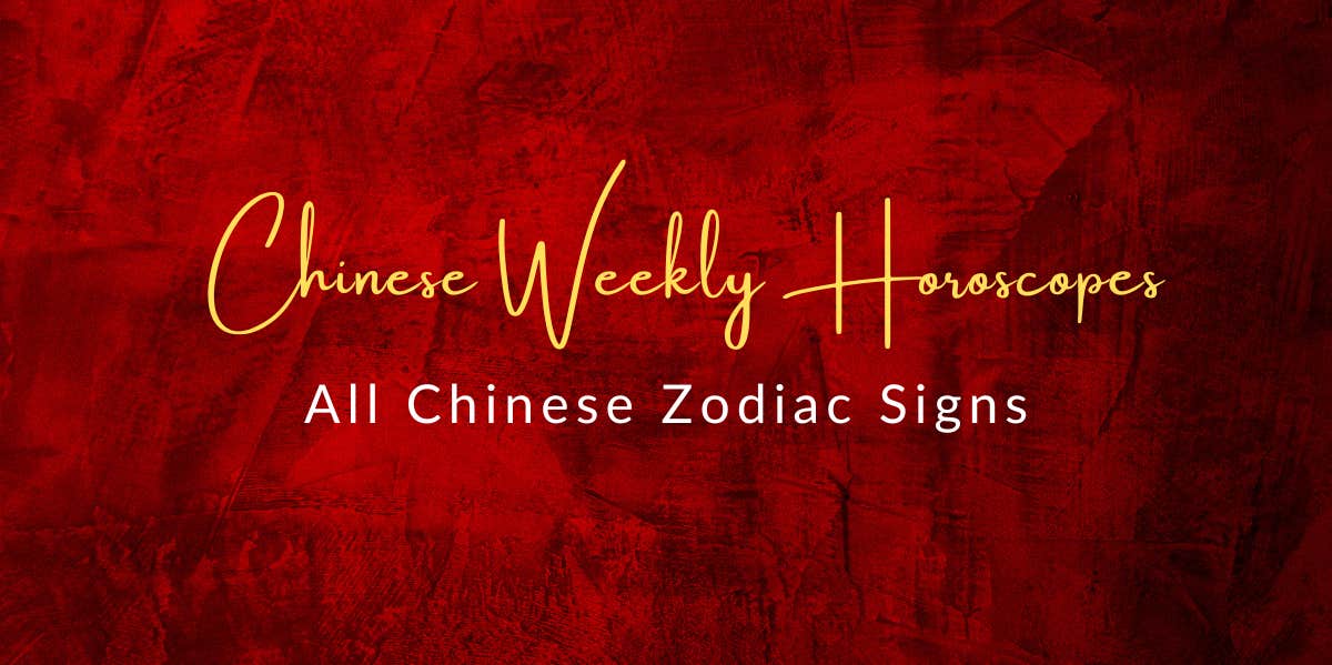 The Weekly Horoscopes For All Chinese Zodiac Signs Beginning November 27 chinese zodiac sign's weekly horoscopes november 27