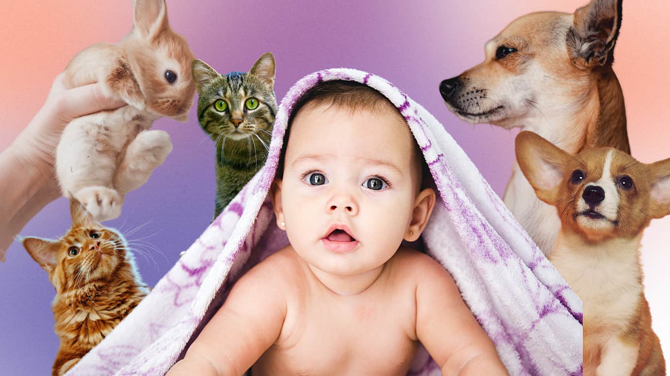 baby surrounded by animals