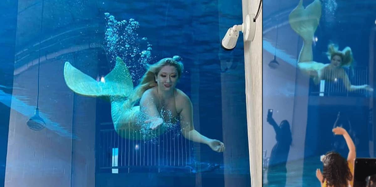 Clearwater Aquarium mermaids