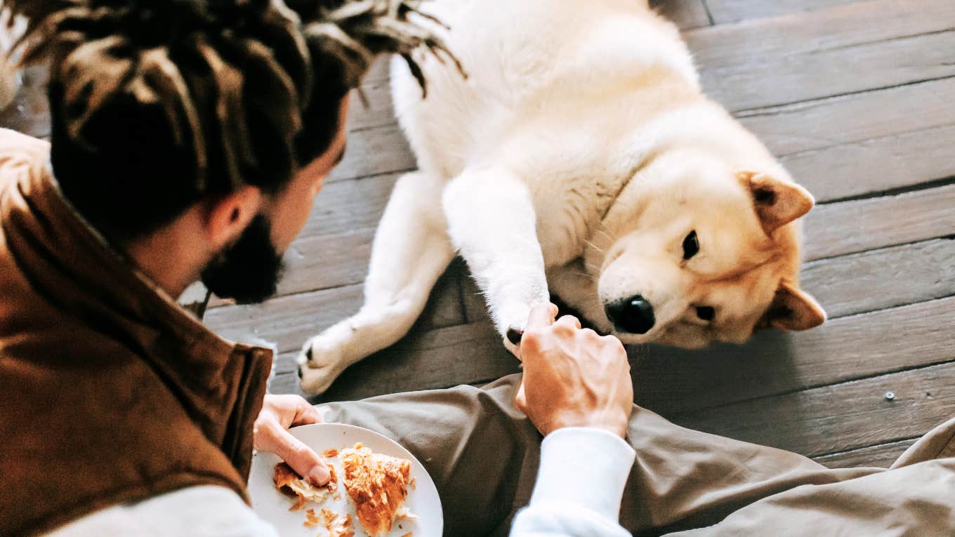 Dog giving partner his paw 