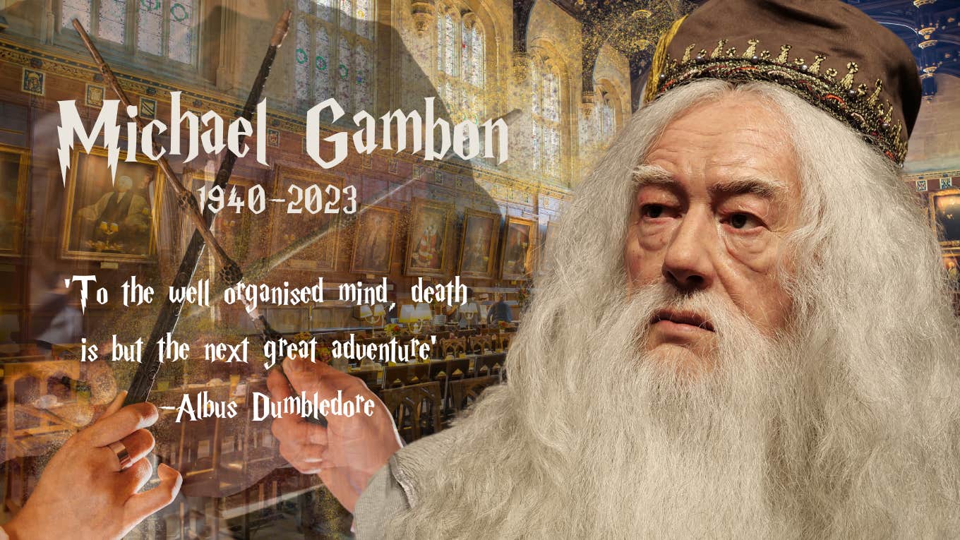 Michael Gambon, Albus Dumbledore 