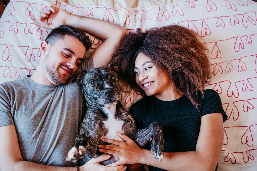 How To Prepare For Getting A Dog Or Cat With Your Boyfriend Or Girlfriend couple with dog in bed