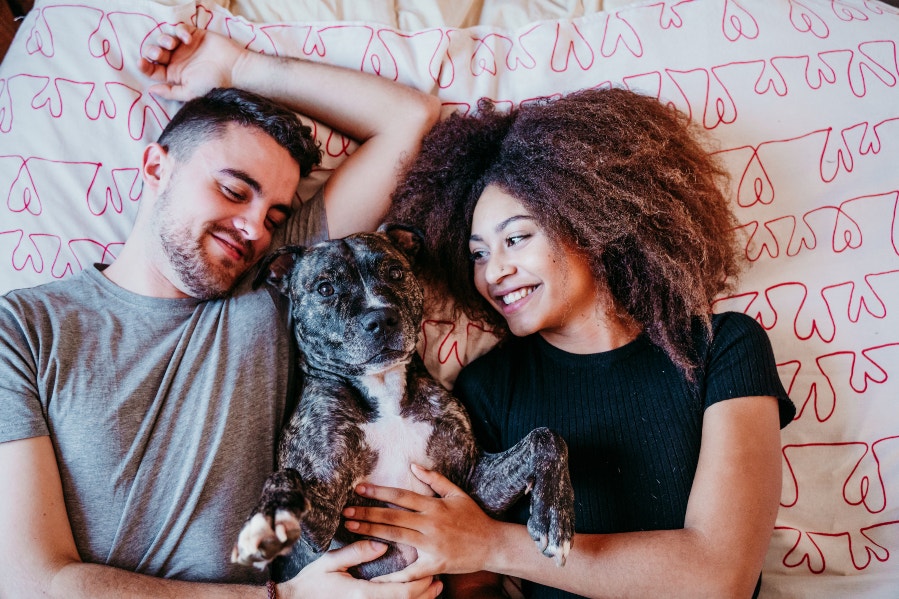 couple with dog in bed