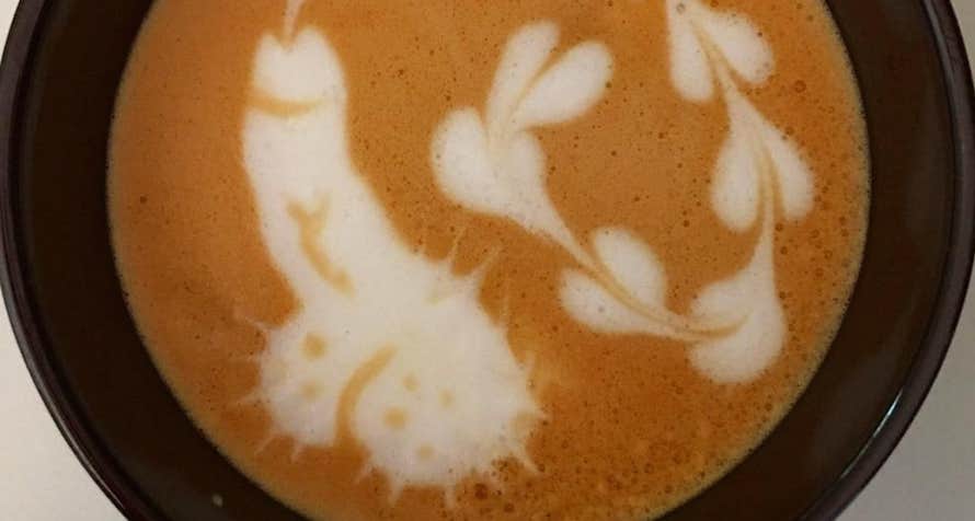 dick lattes penis art on coffee 