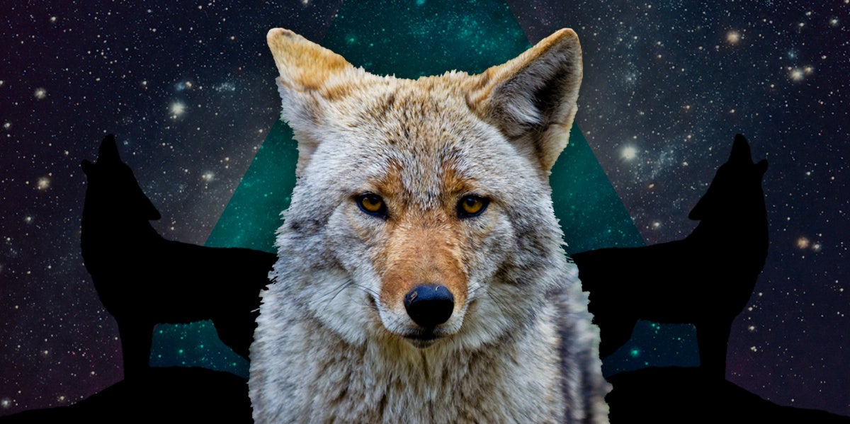 coyote symbolism