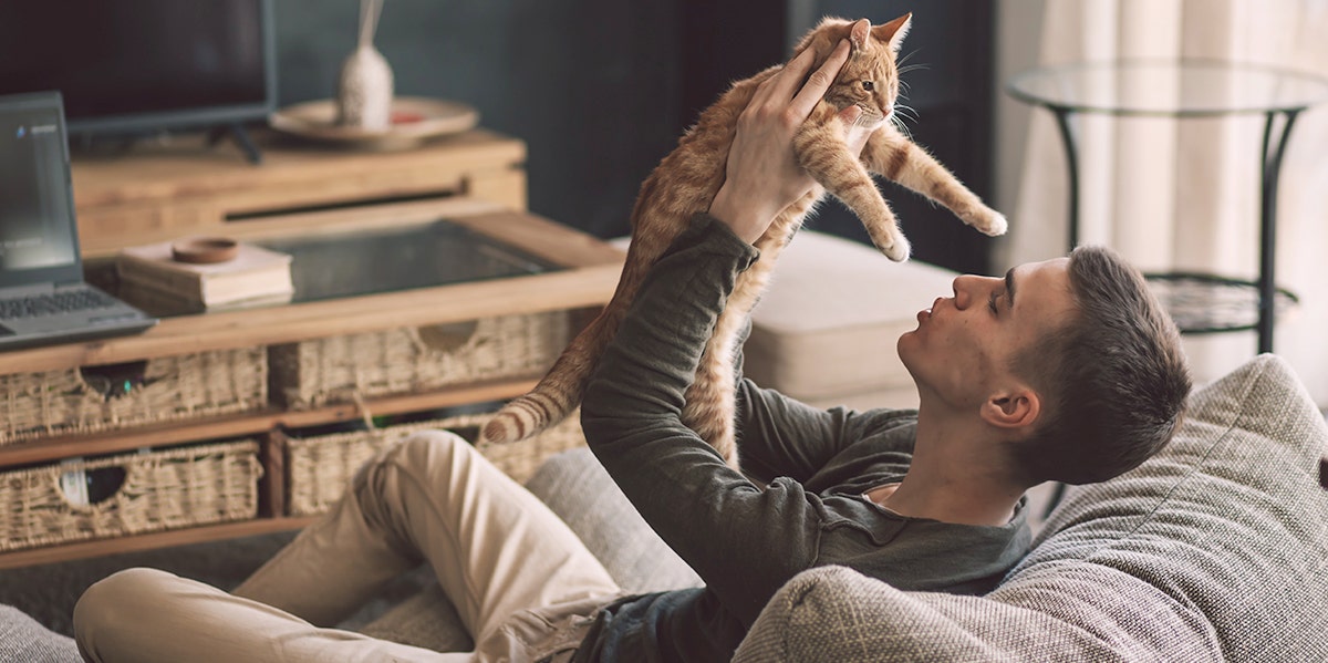 Video Of Kitten Loving On Man Will Hypnotize You With Cuteness Video Of Kitten Loving On Man Will Hypnotize You With Cuteness