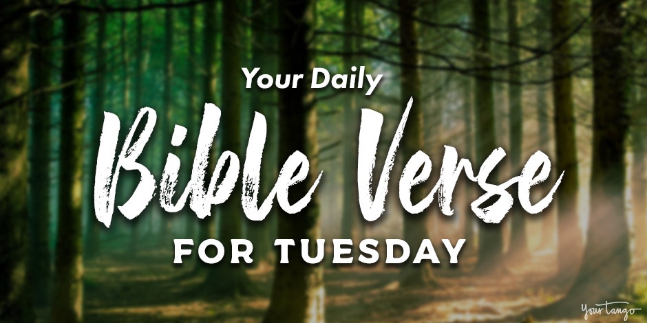 Today's Bible Verse About Love & Daily Devotional For Tuesday, March 3, 2020 Today's Bible Verse About Love & Daily Devotional For Tuesday, March 3, 2020