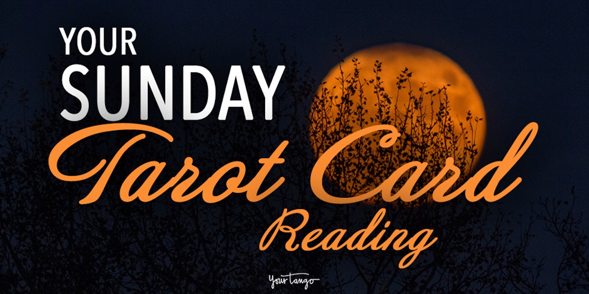 Free Daily Tarot Card Reading, November 8, 2020