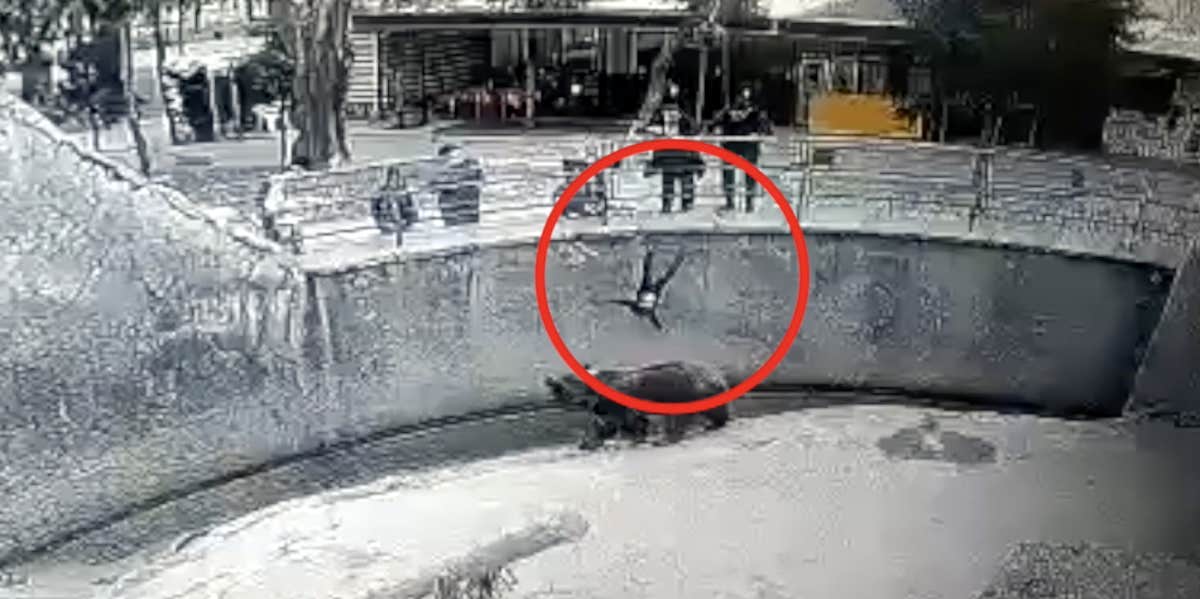 Mom Charged With Attempted Murder After Video Shows Her Throwing 3-Year-Old Daughter Into Bear Enclosure Video of mom throwing daughter into enclosure
