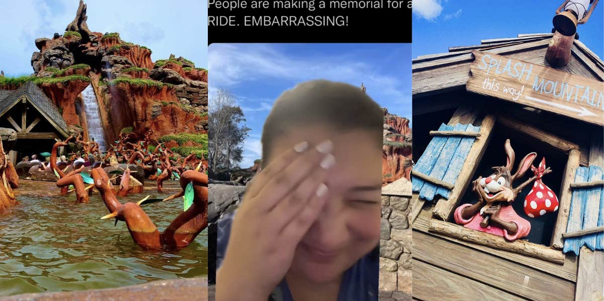 Disney Fans 'Embarrassing' Reaction To The Permanent Closure Of 'Splash Mountain' splash mountain ride, disney, retheme