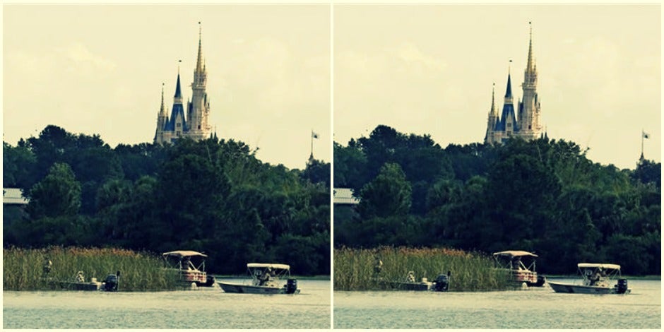 disney gator attack tragedy disney gator attack tragedy