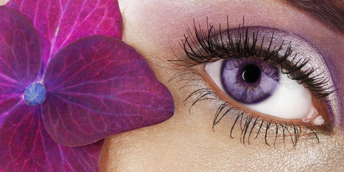 close up of a women's purple iris and a purple flower