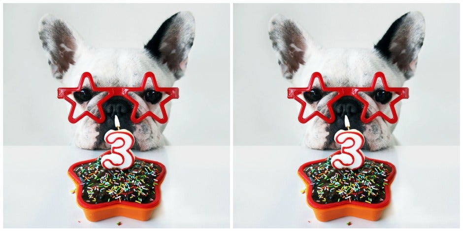 best dog safe birthday cakes 2018 dog treats best dog birthday cakes 2018 safe for dog to eat