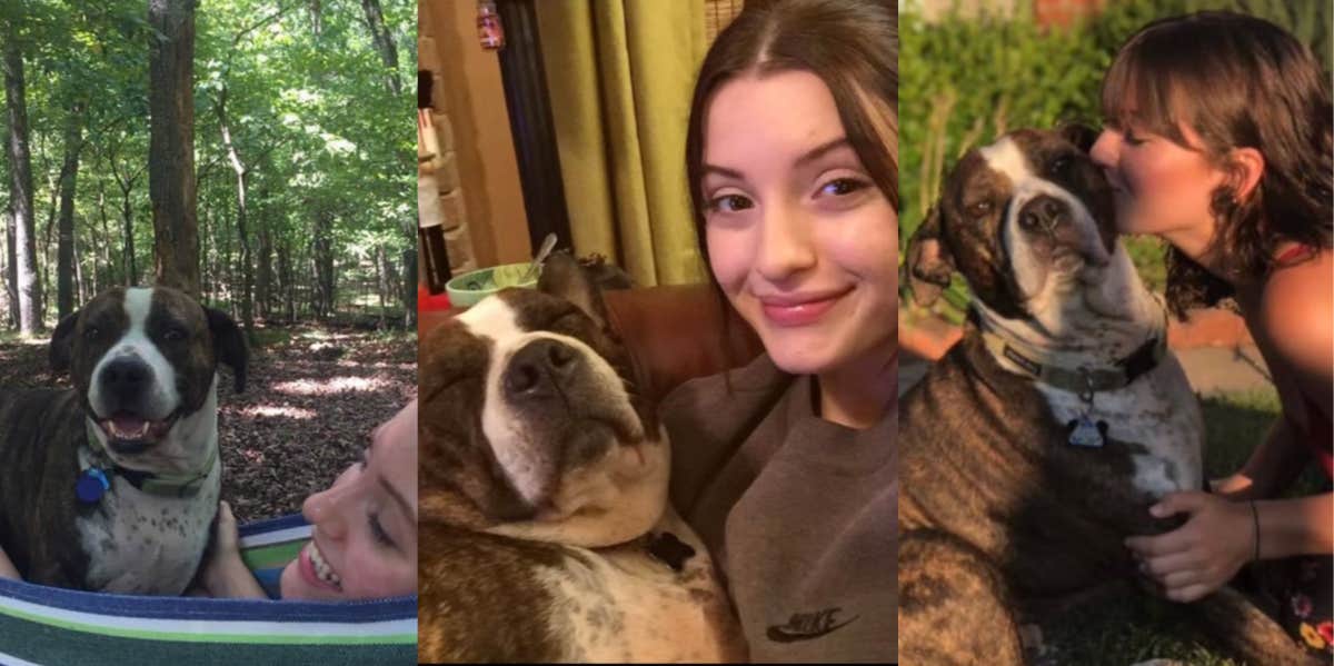 Woman Seeks Advice Amid Custody Battle With Her Ex Over Their Dog dog custody battle
