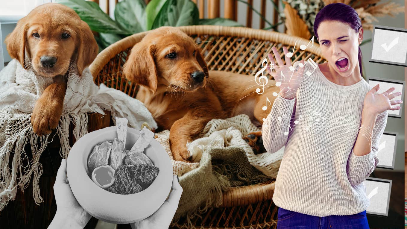 Woman with fancy hands, singing while prepping a list on how to care for her two fur babies