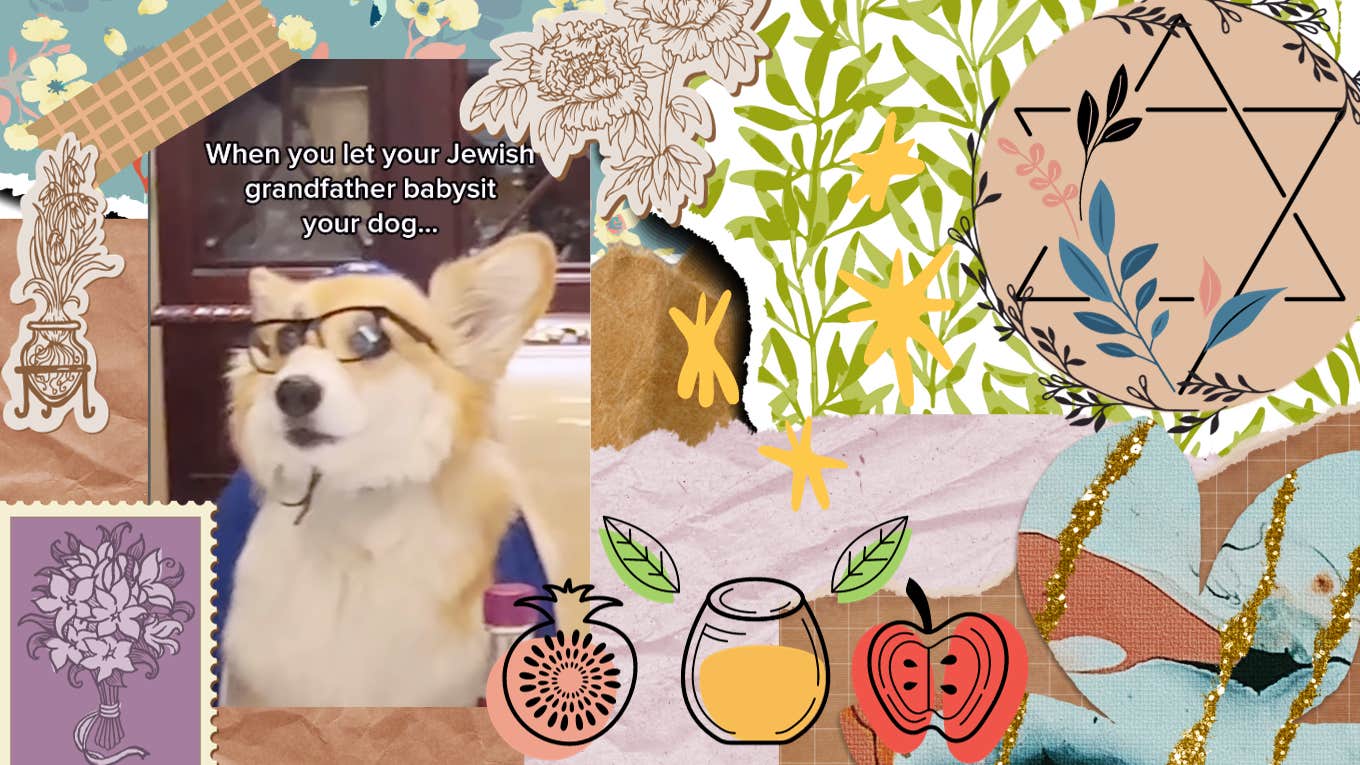 Instagram Dog Maxine Celebrates Rosh Hashanah By Wishing Viewers A Sweet Jewish New Year maxine the dog wishing happy jewish new year