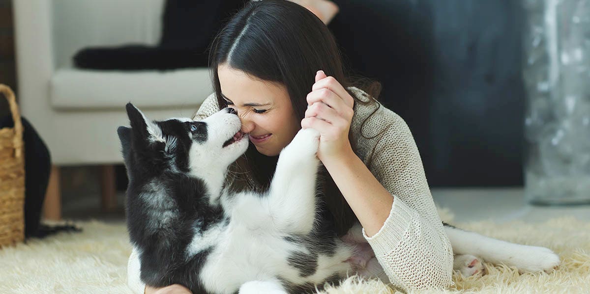 woman and a dog