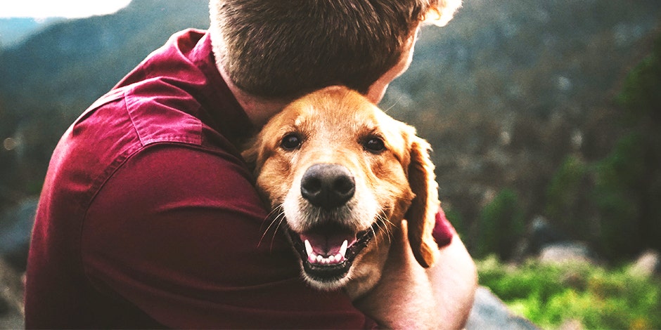 how to play with your dog dog mom furbaby how to play with your dog dog mom furbaby