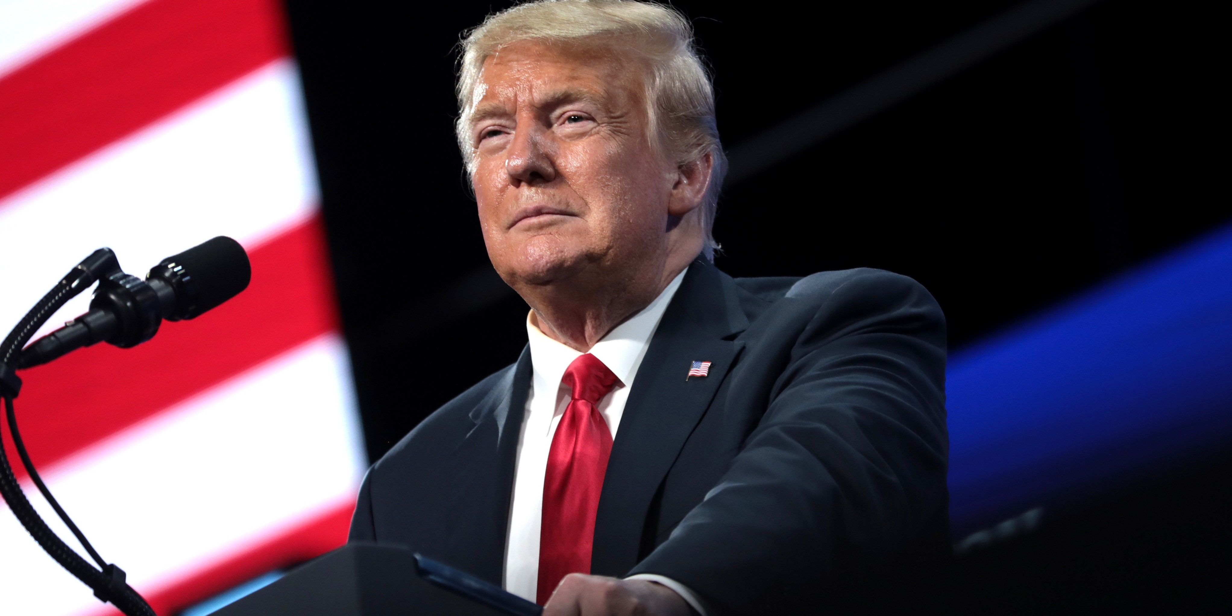 Can Donald Trump Win The Presidency In 2024 Without Social Media? Donald Trump