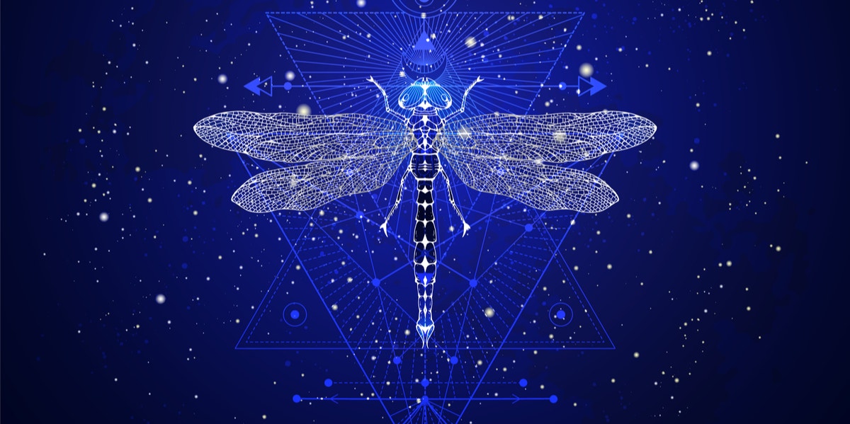 Dragonfly Symbolism & Spiritual Meanings Of A Dragonfly Spirit Animal |  YourTango
