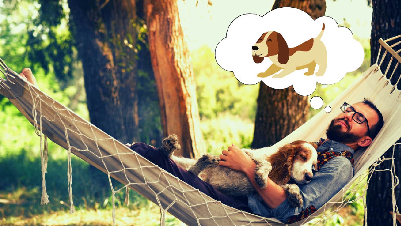 man in a hammock with his dog dreaming about dogs