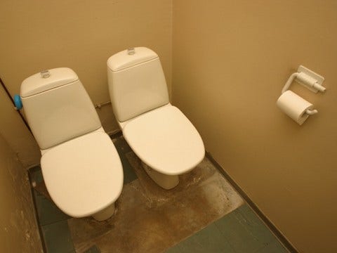double toilets his-and-hers toilets