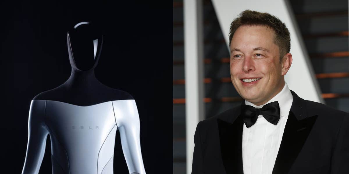 tesla bot elon musk