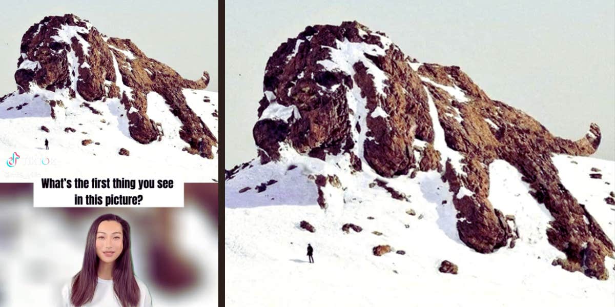 Visual Personality Test Reveals If You Are Emotionally Volatile Or Friendly dog mountain visual test