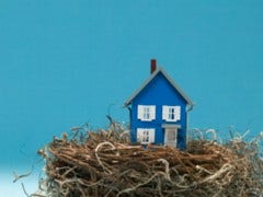 miniature house in nest