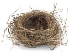 empty nest empty nest