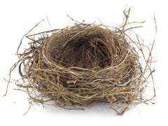 empty nest