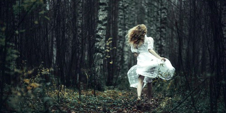 girl in forest girl in forest