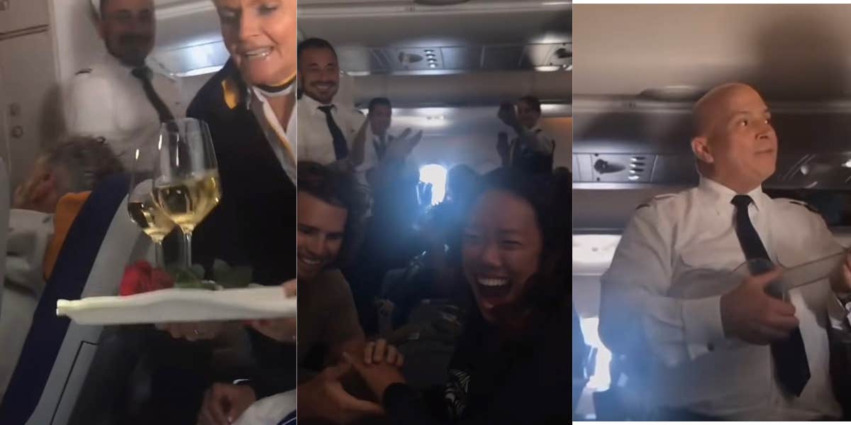 Fake Proposal To Get Free Perks Makes Flight Attendants Cry Airplane TikTok