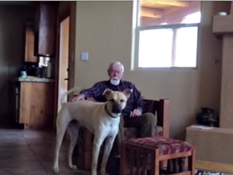 father and dog father and dog