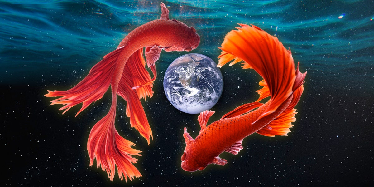 Fish Symbolism & Spiritual Meanings Of A Fish Spirit Animal | YourTango