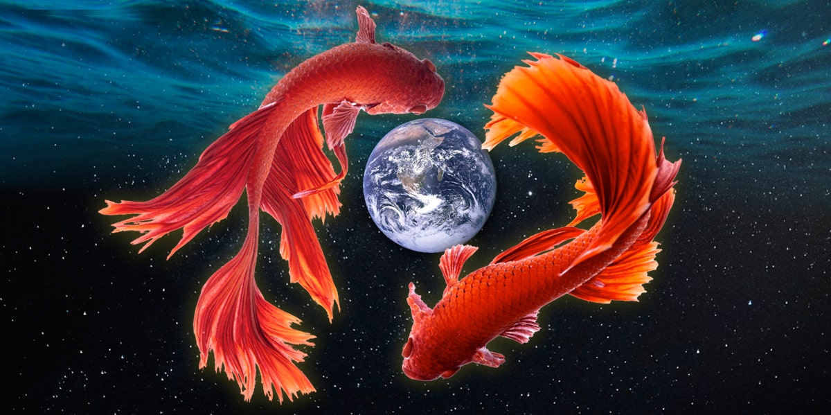 koi fish circling the earth