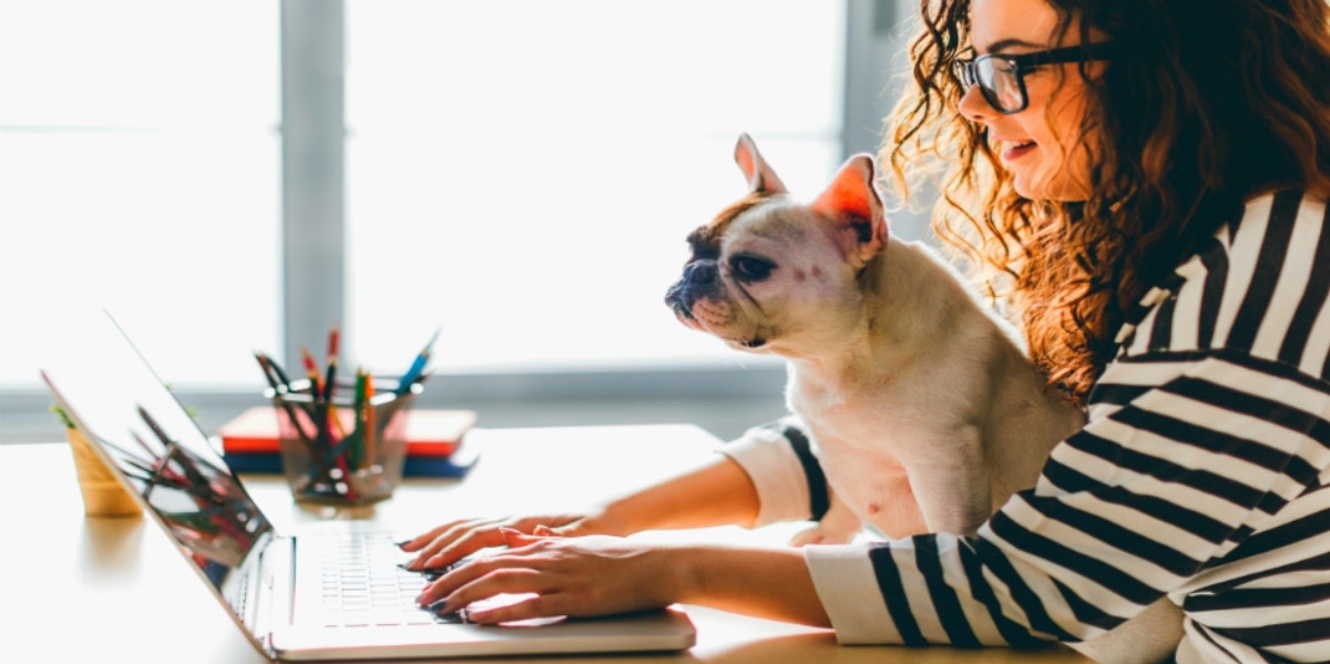 woman with dog working at desk