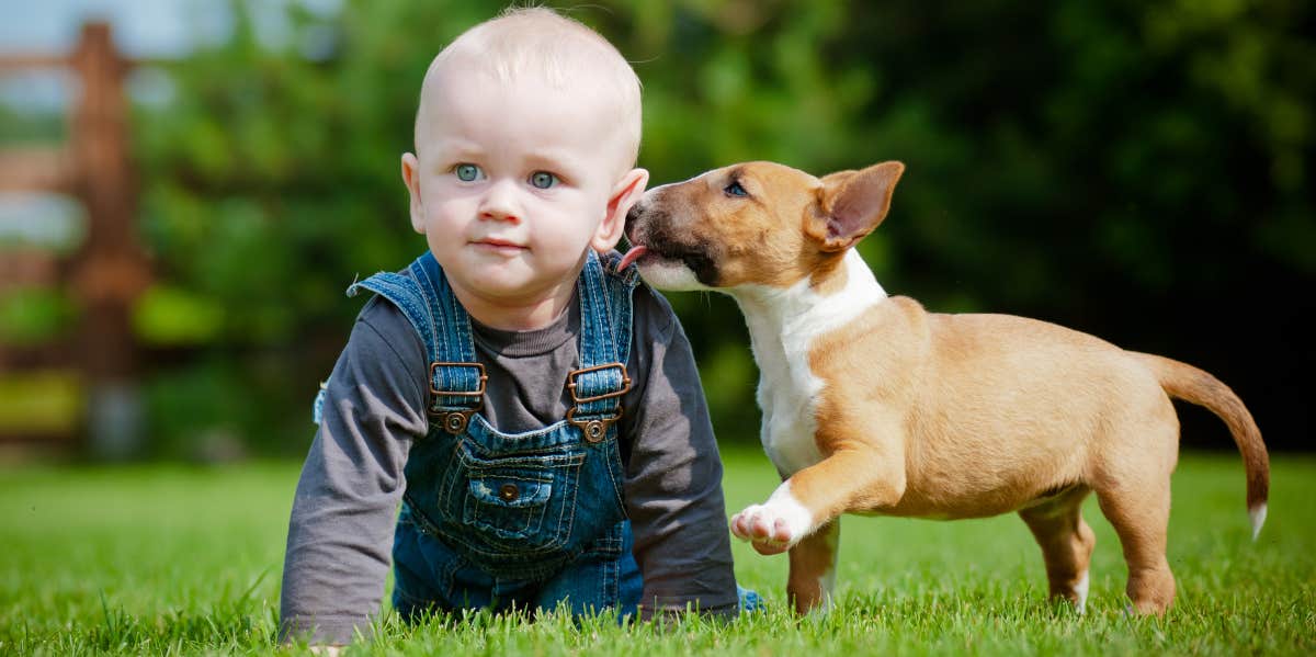 Baby with dog