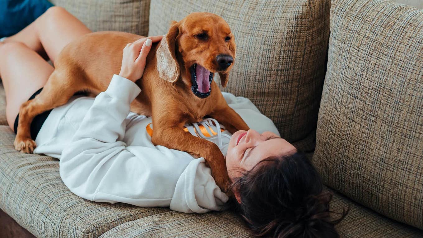 woman lying on couch with dog