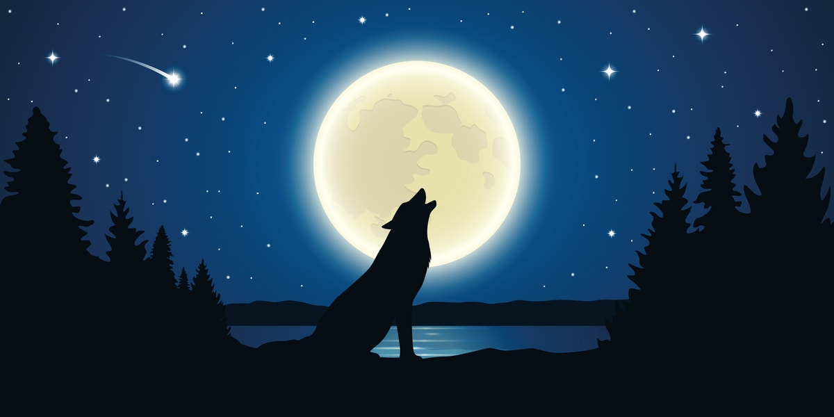 How The Full 'Wolf' Moon In Cancer Transforms The Lives Of Each Zodiac Sign On January 17 - 18, 2022 How The Full 'Wolf' Moon In Cancer Transforms The Lives Of Each Zodiac Sign On January 17 - 18, 2022